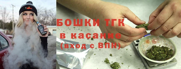 гидра Горно-Алтайск