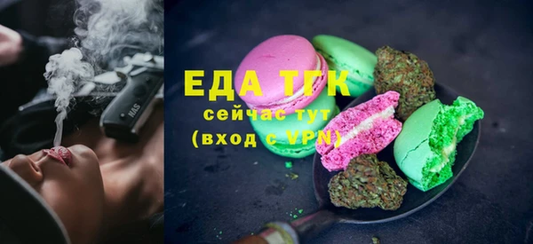таблы Гусев