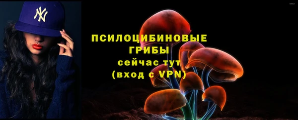 соль ск Дмитров