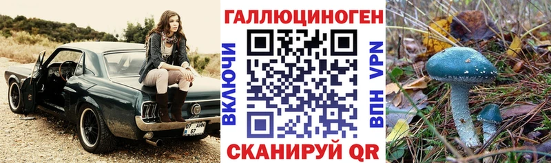 Псилоцибиновые грибы мухоморы  Купить закладки  Удомля 